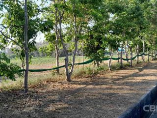出售 土地 在 Mueang Rayong, Rayong