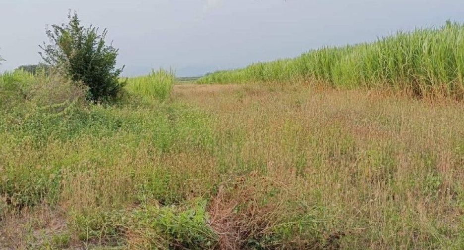 出售 土地 在 Wiang Nong Long, Lamphun