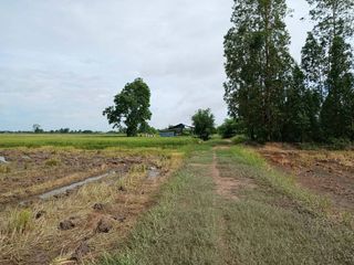 Продажа Участок в Phichai, Уттарадит