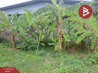 For sale land in Mueang Samut Songkhram, Samut Songkhram