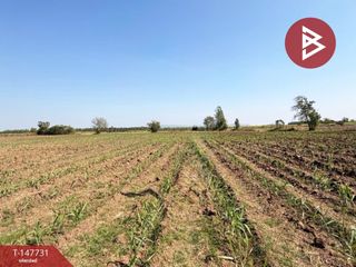 For sale land in Takhli, Nakhon Sawan