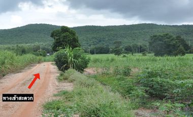 For sale land in Khon Sawan, Chaiyaphum
