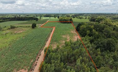 For sale land in Khon Sawan, Chaiyaphum
