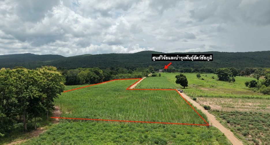 For sale land in Khon Sawan, Chaiyaphum