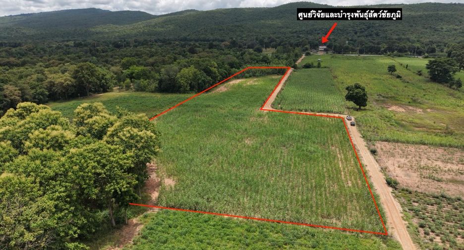 For sale land in Khon Sawan, Chaiyaphum