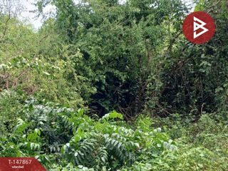 For sale land in Mueang Rayong, Rayong