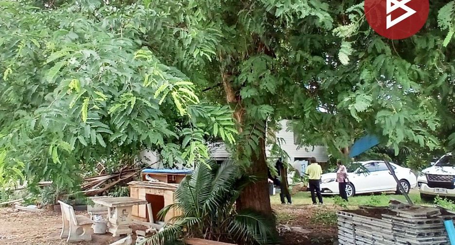 For sale land in Mueang Rayong, Rayong