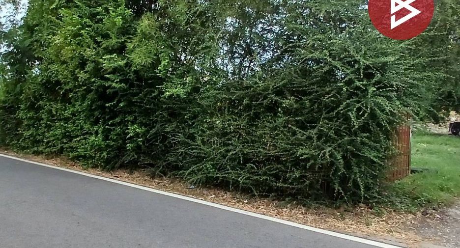 For sale land in Mueang Rayong, Rayong
