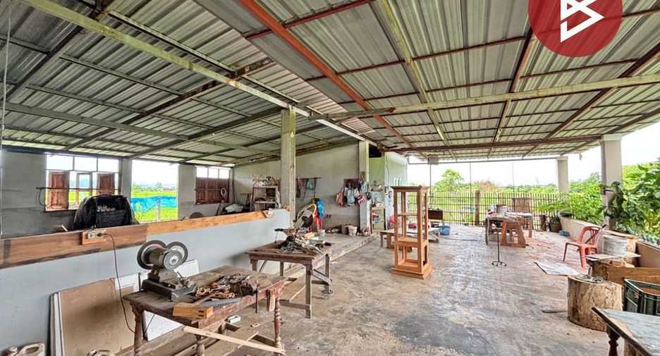 For sale land in Doi Lo, Chiang Mai