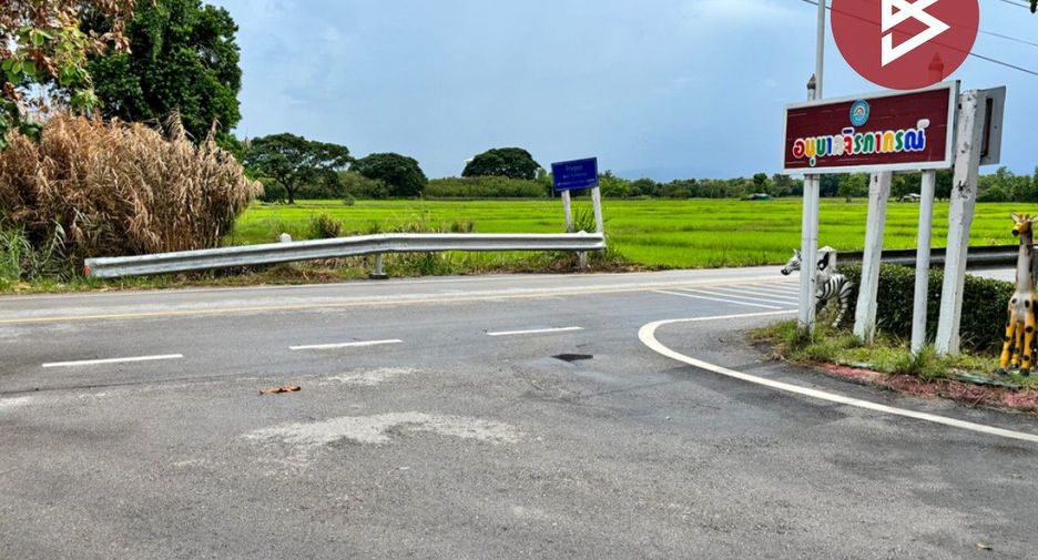 For sale land in Doi Lo, Chiang Mai