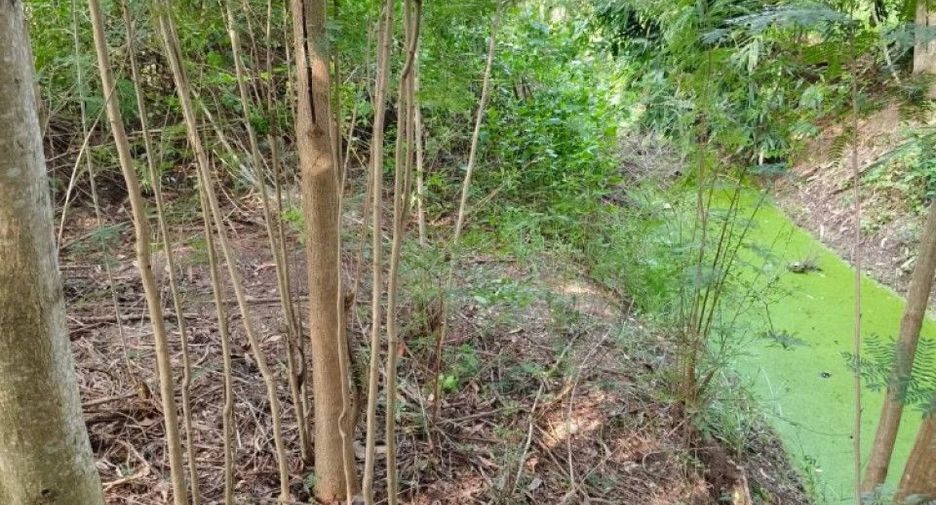 À vendre terrain à Mueang Chachoengsao, Chachoengsao