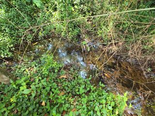 For sale land in Mueang Chanthaburi, Chanthaburi
