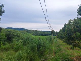 For sale land in Ban Khai, Rayong
