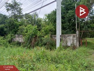 For sale land in Taphan Hin, Phichit