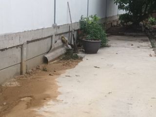 For sale land in Bang Bon, Bangkok