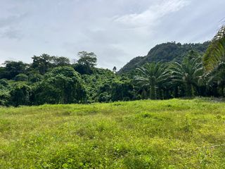 For sale land in Mueang Krabi, Krabi