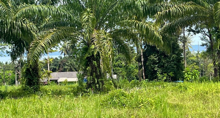 For sale land in Mueang Krabi, Krabi