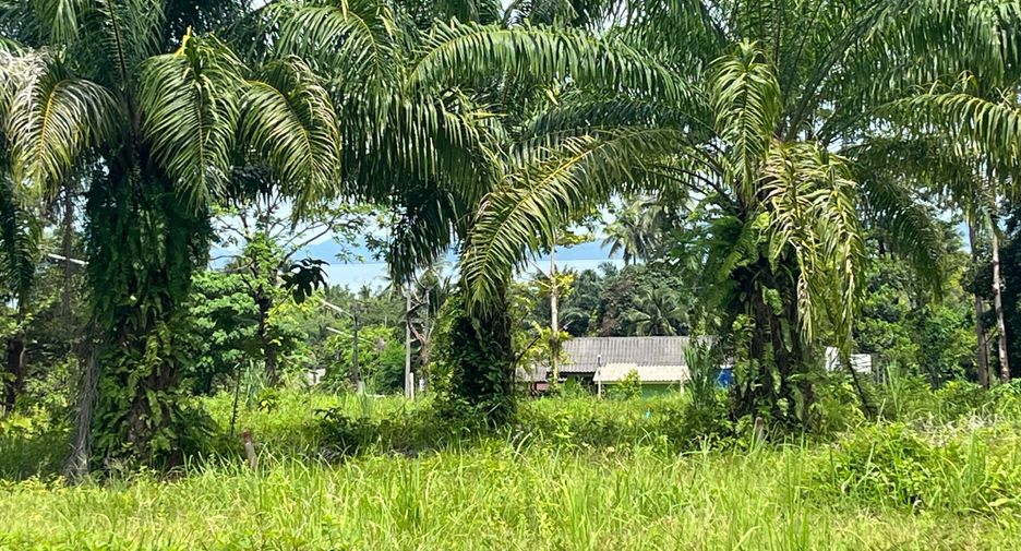 For sale land in Mueang Krabi, Krabi