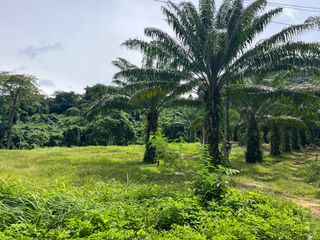 For sale land in Mueang Krabi, Krabi