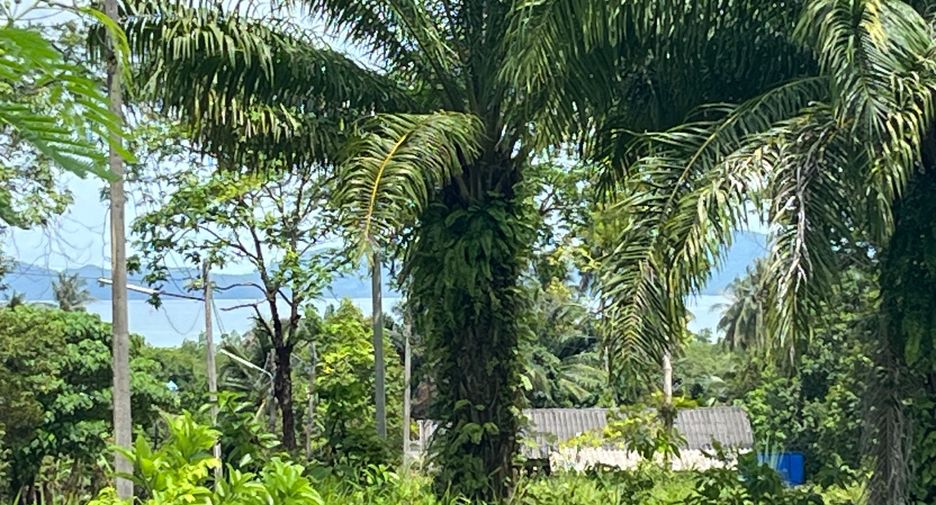 For sale land in Mueang Krabi, Krabi