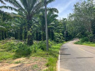 For sale land in Mueang Krabi, Krabi