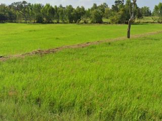 For sale land in Phutthaisong, Buriram