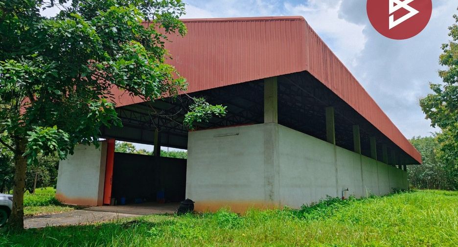 For rent そして for sale warehouse in Thoeng, Chiang Rai