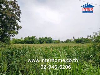 For sale land in Pak Chong, Nakhon Ratchasima