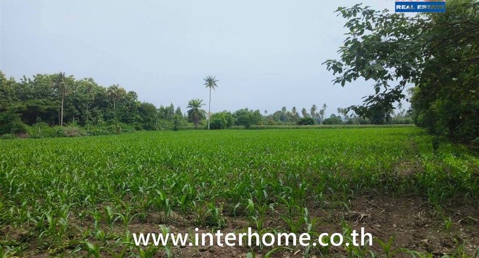 For sale land in Pak Chong, Nakhon Ratchasima