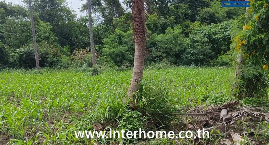 For sale land in Pak Chong, Nakhon Ratchasima