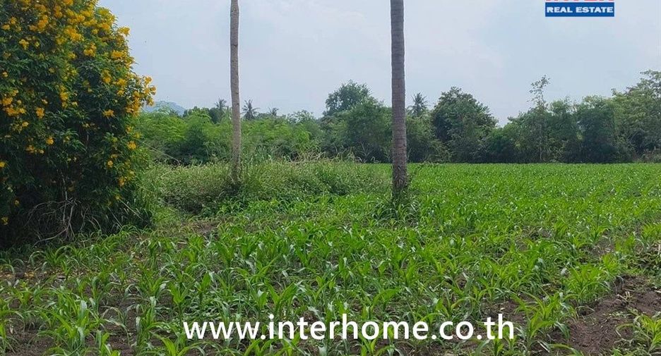 For sale land in Pak Chong, Nakhon Ratchasima