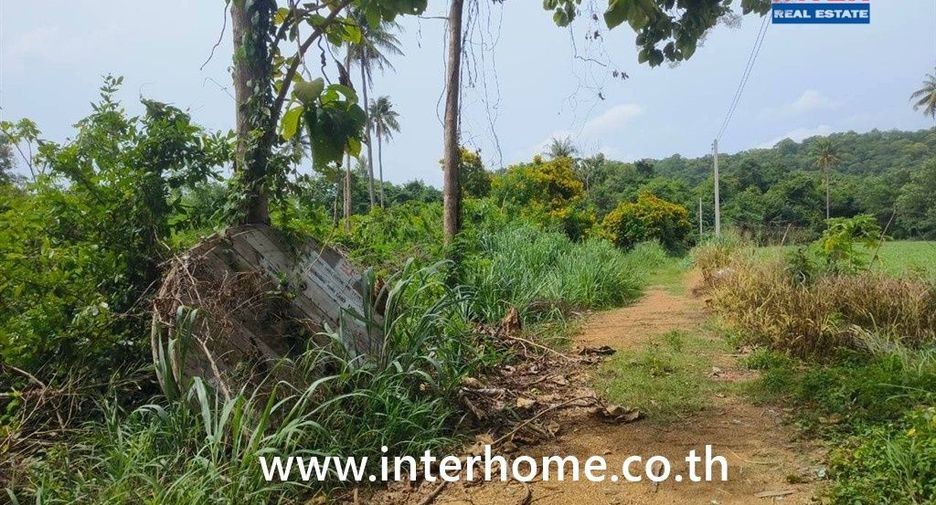 For sale land in Pak Chong, Nakhon Ratchasima