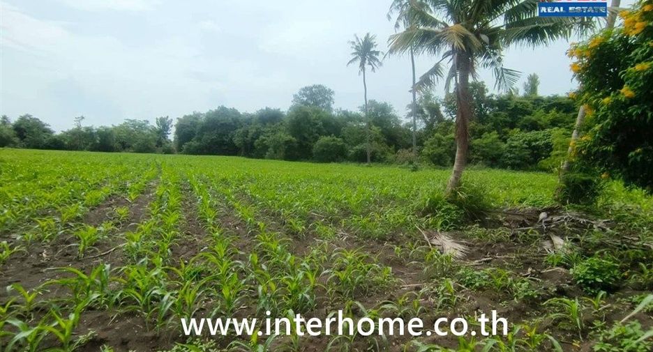 For sale land in Pak Chong, Nakhon Ratchasima