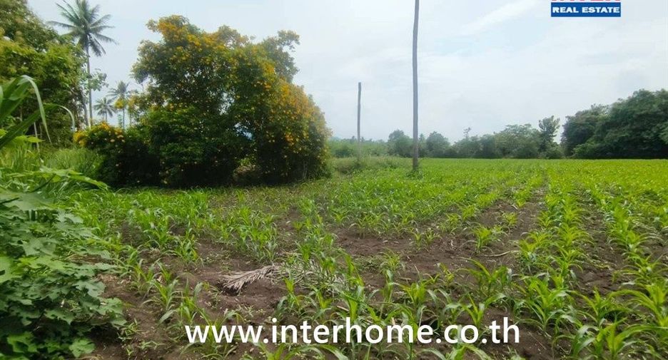 For sale land in Pak Chong, Nakhon Ratchasima