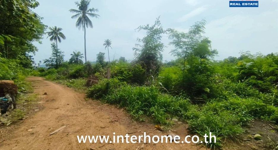 For sale land in Pak Chong, Nakhon Ratchasima