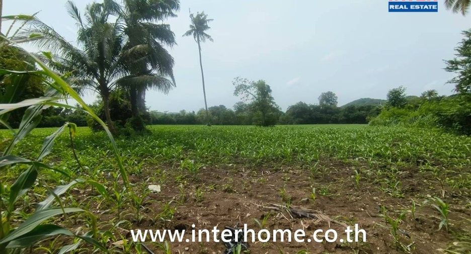 For sale land in Pak Chong, Nakhon Ratchasima