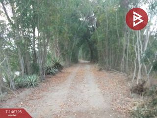 出售 土地 在 Suan Phueng, Ratchaburi
