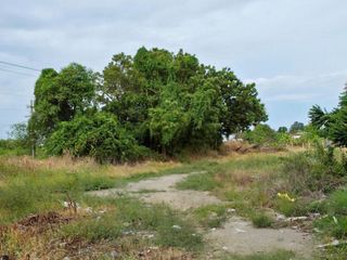 For sale land in Bang Bo, Samut Prakan