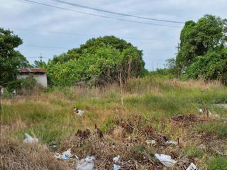 For sale land in Bang Bo, Samut Prakan