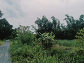 出售 土地 在 Wiang Kao, Khon Kaen