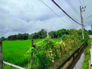 For sale land in Doi Saket, Chiang Mai