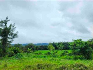 For sale land in Doi Saket, Chiang Mai