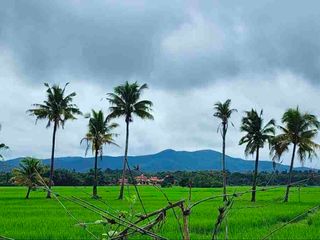 For sale land in Doi Saket, Chiang Mai
