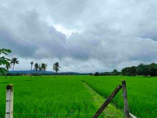 For sale land in Doi Saket, Chiang Mai