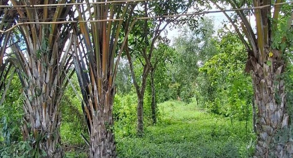 Продажа Участок в Mueang Prachinburi, Прачинбури