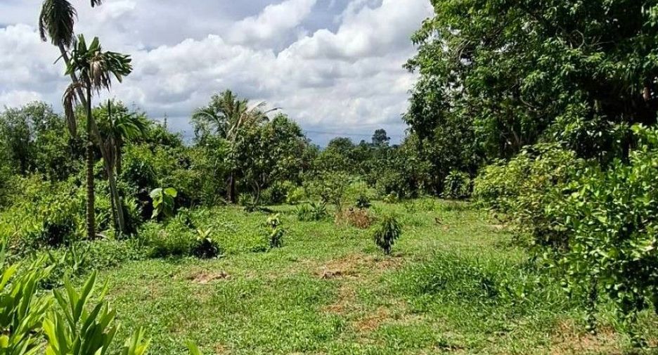 Продажа Участок в Mueang Prachinburi, Прачинбури