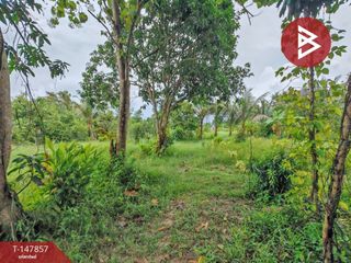 For sale land in Mueang Prachinburi, Prachin Buri