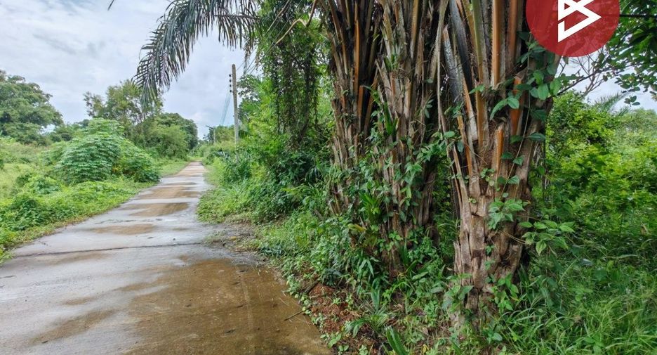 Продажа Участок в Mueang Prachinburi, Прачинбури