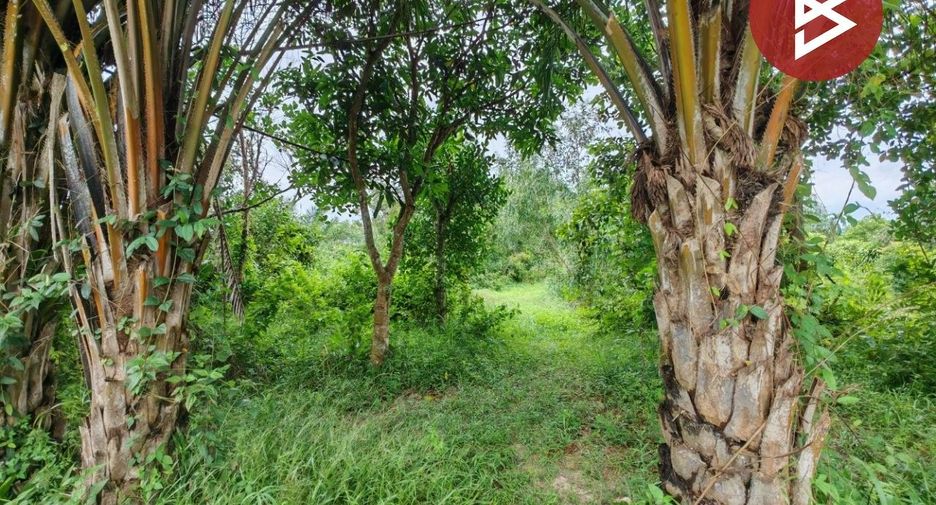 Продажа Участок в Mueang Prachinburi, Прачинбури