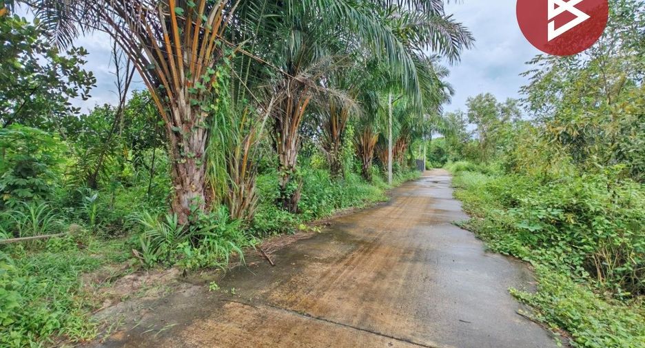 Продажа Участок в Mueang Prachinburi, Прачинбури